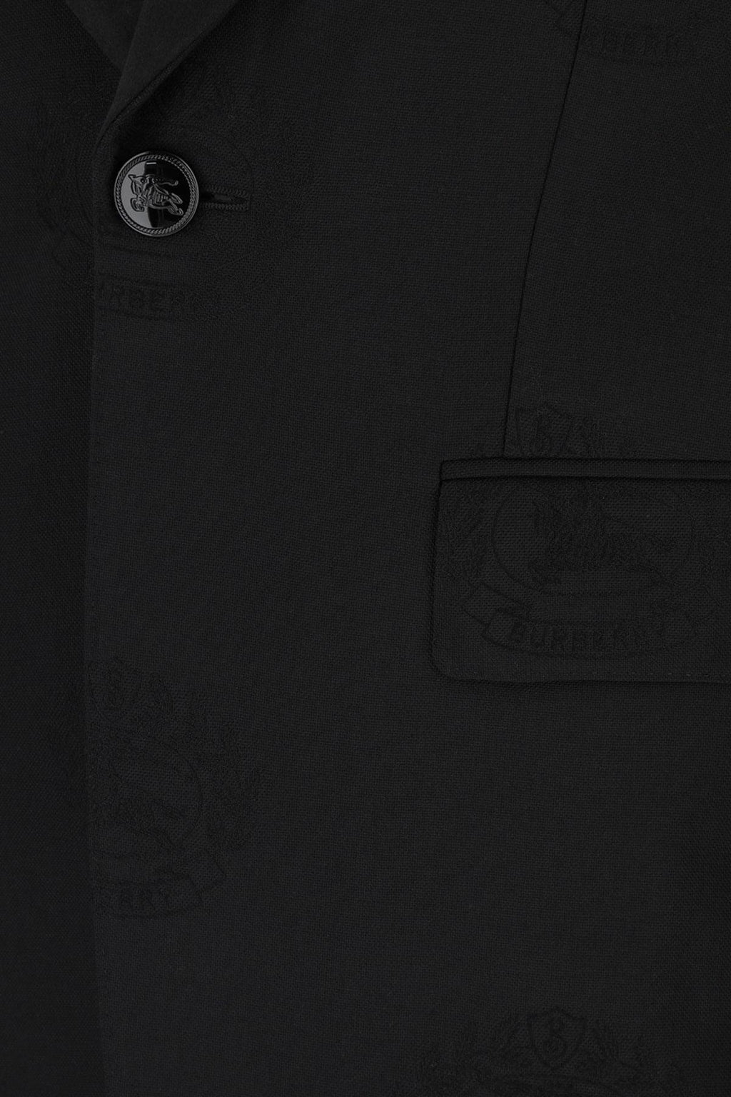 Burberry Men Giacca