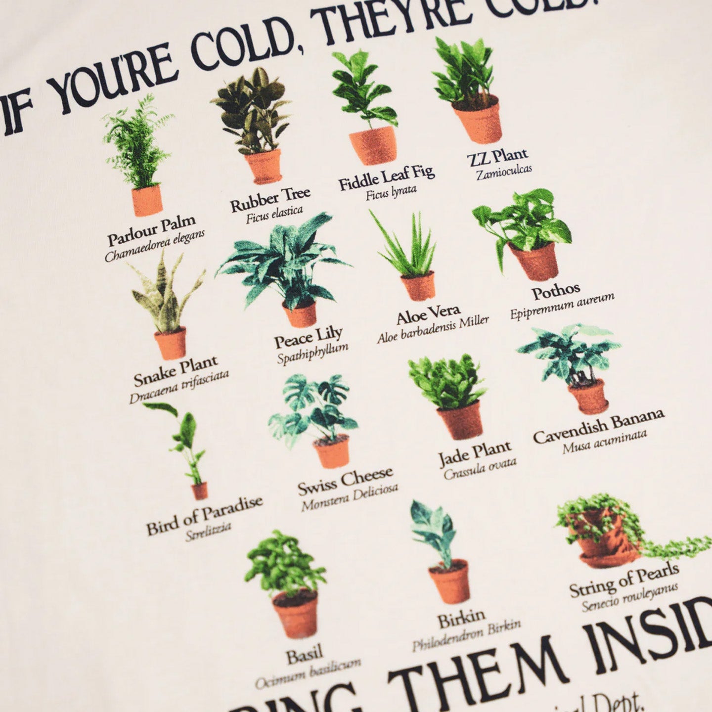 Bring Them Inside