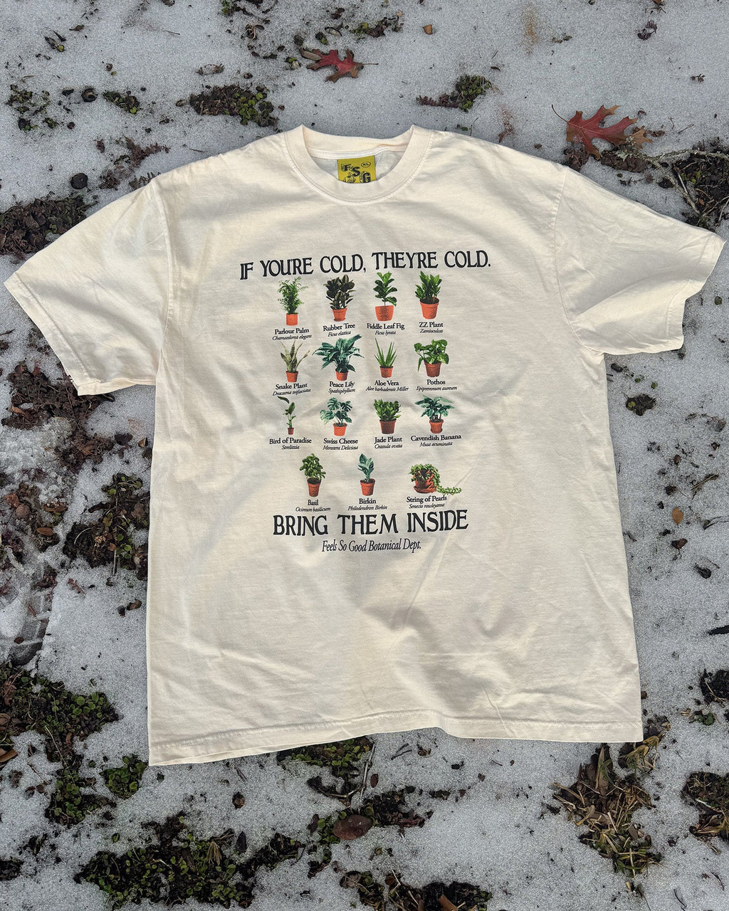 Bring Them Inside