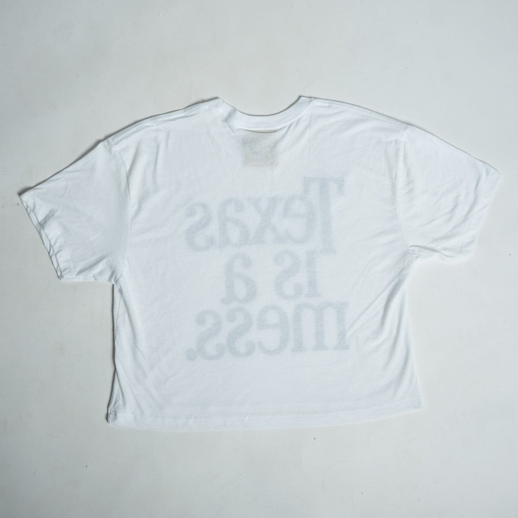 Texas Is A Mess Crop Top