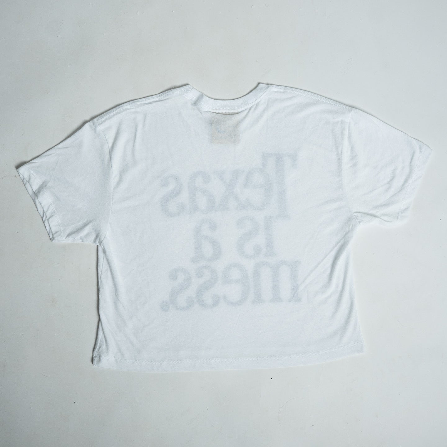 Texas Is A Mess Crop Top