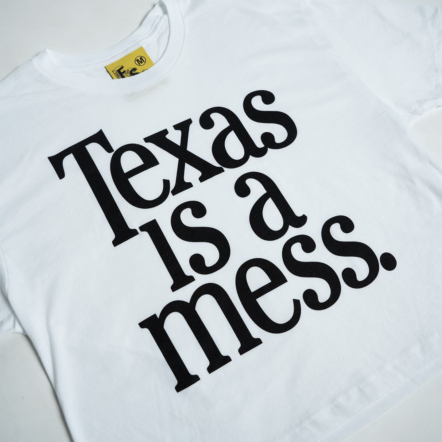 Texas Is A Mess Crop Top
