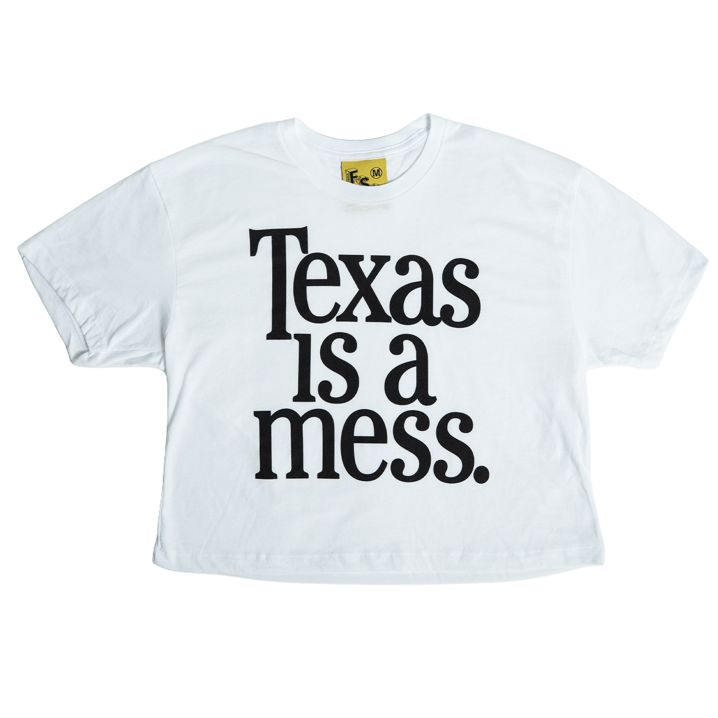 Texas Is A Mess Crop Top
